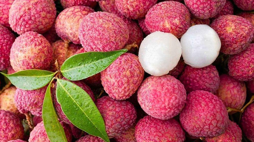 গলায় লিচুর বিচি আটকে গেলে যা করবেন